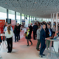 Vignette de l`image de la galerie33